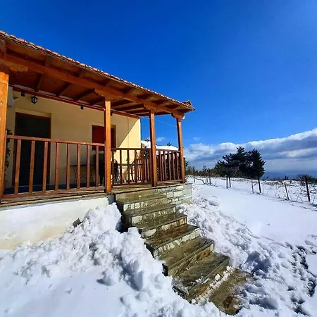 πηλιο διονυσια